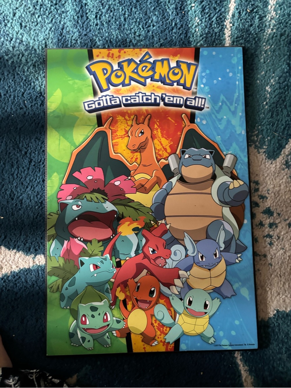 Pokemon Starter Evolution wooden wall art